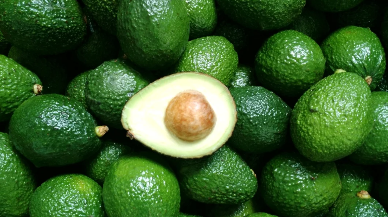 Palta